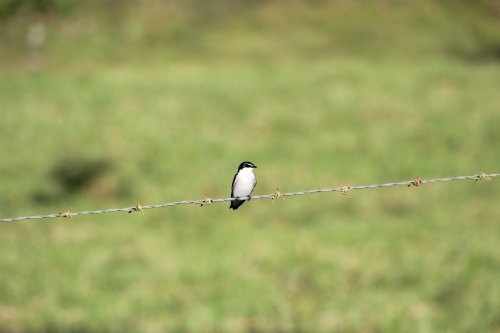 IMG_4193